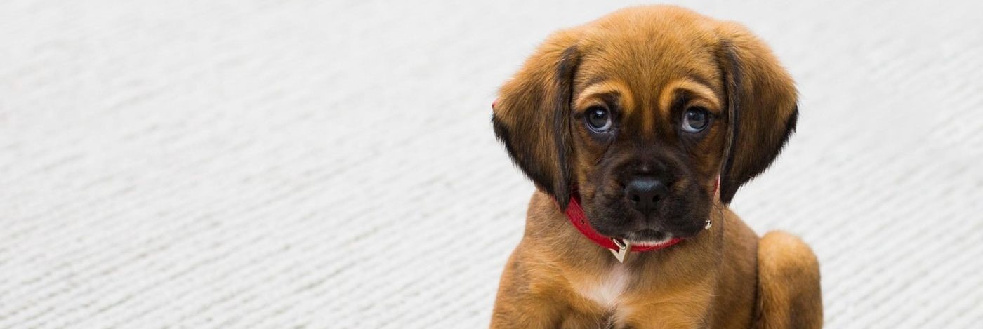 Kinesiology and intuitive energy healing